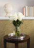12 KaBloom - Bouquet of Fresh White Roses (Farm-Fresh, Long-Stem) - Fresh Flowers for Birthday, Valentine's & Mother's