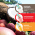Pack 12 Count 9.8 oz Kuii Coconut Milk Drink Variety with Original Coconut, Strawberry & Mango Flavors Refreshing