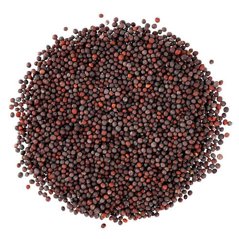 12 Food to Live Organic Brown Mustard Seeds, Ounces Non-GMO, Great for Pickling and Cooking. Non-irradiated. Bulk. Keto
