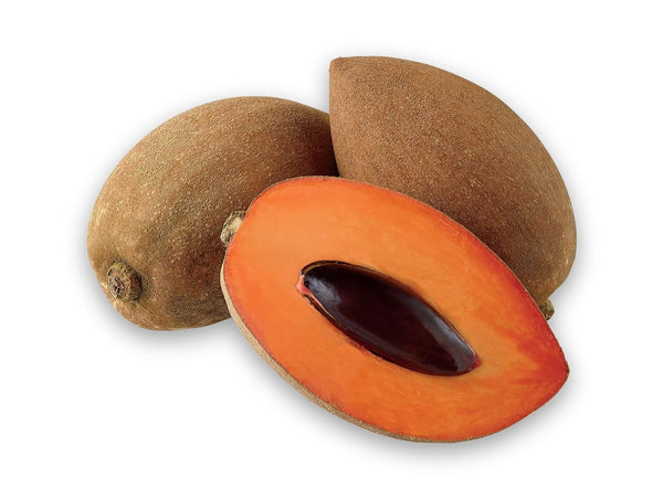 Tropical Importers Organic Mamey Sapote Fruit (Set of 3) - Fresh Pouteria Sapota -