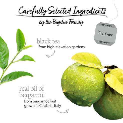 20 1.18 (Pack 6) Bigelow Tea Earl Grey Flavored Black Tea, Kosher, Bags, Ounces