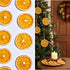 5.29oz 6g 7cm 26 Dried Orange Slices for Cocktails Dehydrated Orange Slices, Large Center-Cut Dried Citrus Slice