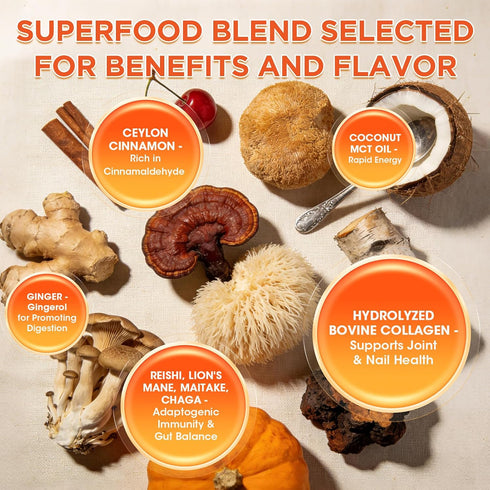 4 Immune, 20 Veltracha Mushroom Pumpkin Spice Creamer with Collagen - Prebiotics Coconut Coffee Creamer
