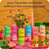 12oz, Pack 12) Recess Zero Proof Craft Mocktails, Alcohol Free Drinks, With Adaptogens, Non-Alcoholic Beverage