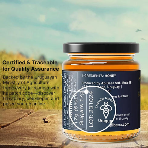 100% 2 8 (2 8 oz) BEEA Premium Raw Uruguayan Prairie Honey | Light Amber & Mild Flavor | Pure, Organic, Unfiltered