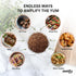 (4.2 oz Zestify Savory Souk Moroccan Seasoning Blend | Spice Mix for BBQ, Beef Stew, Slow Cooker, & Sheet Pan | Gourmet