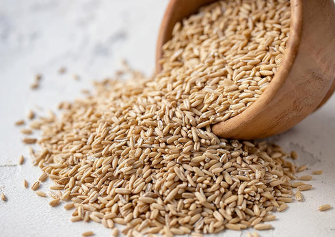 10 Whole Grain Oat Groats, Pounds Oat Berries in Bulk. Kosher Hulless Seeds, Rich in Protein, Soluble Fiber. Suited