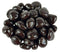 Cozy Confections Double Dipped Dark Chocolate Covered Raisins, 1 Pound