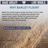 5 Lb Great River Milling Organic Barley Flour | Unbleached, Unbromated, Non-GMO, Kosher | High Fiber, Nutty Flavor
