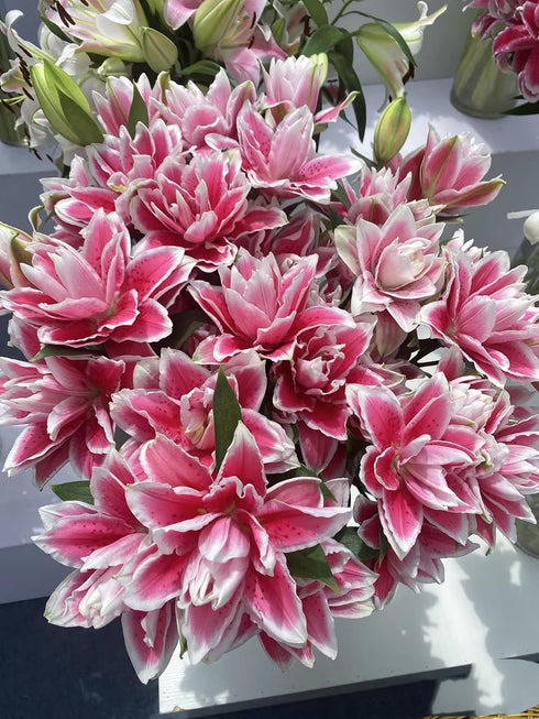 5 Stems Fresh Cut Double Lilies Long Lasting Fragrance Suitable for Hydroponic Flower Arrangements Shipped in Fresh Bud
