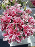 5 Stems Fresh Cut Double Lilies Long Lasting Fragrance Suitable for Hydroponic Flower Arrangements Shipped in Fresh Bud