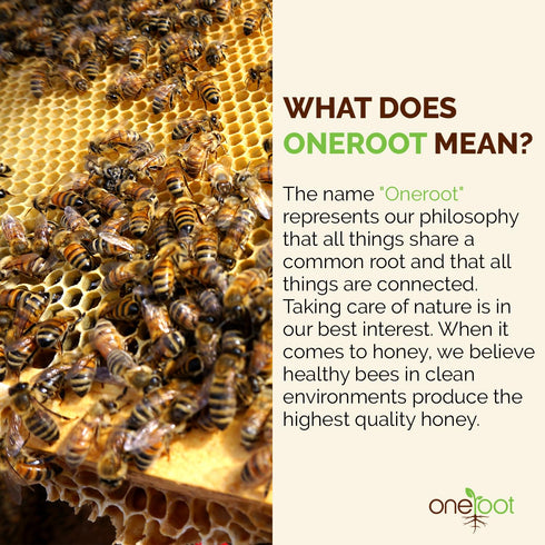2.2 lbs 1kg, OneRoot Natural Wildflower Honey - / Pure Canadian Boreal Forest Honey - Unpasteurized, Minimally Filtered