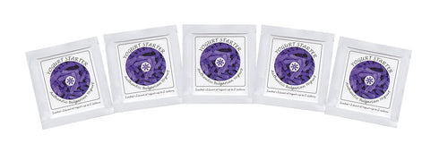 Yogurt Starter Cultures, Pack of 5 Freeze-dried Culture Sachets for Authentic Bulgarian Yogurt