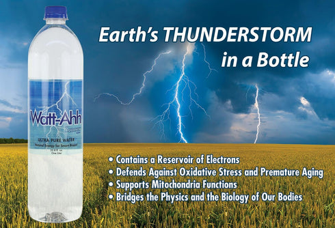 Watt-Ahh an AquaNew Water 12-1 AquaNew's Watt-Ahh - Premium Polarized Water for Energy and Health - Case of Liter