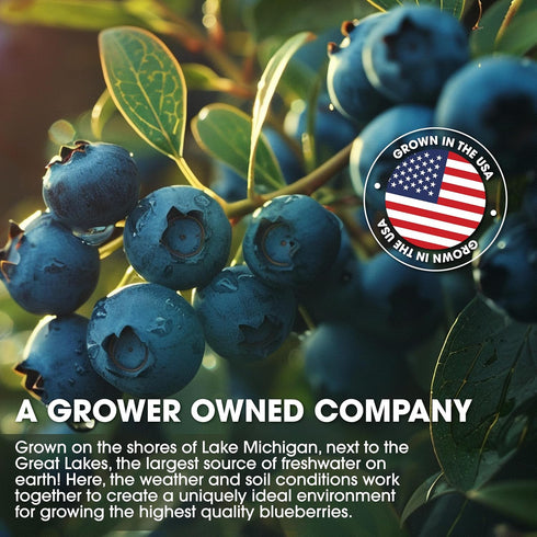 Cherry Bay Orchards Dried Blueberries (6oz Bag) - 100% Domestic, Natural, Kosher, Gluten-Free, GMO Free, Resealable