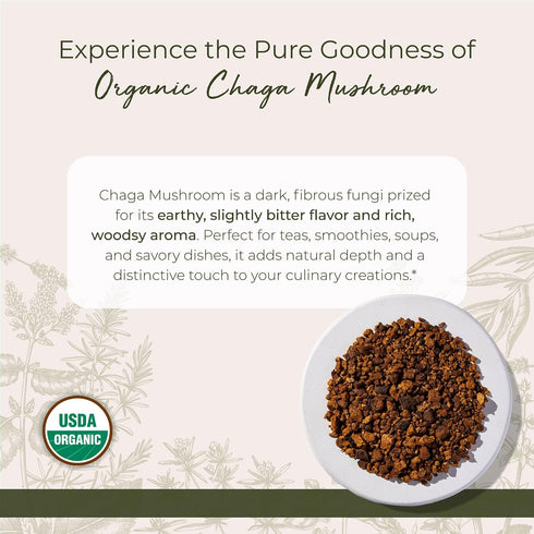 4 oz Starwest Botanicals Organic Dried Chaga Mushrooms - Cut and Sifted Chaga for Tea, Soups, Stews, Shakes, & More