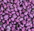 5 lbs Purple Yogurt Covered Raisins by It's Delish, Bulk | Kosher Dairy-Free Yogurt Covered Fruit for Vegan Snacking |
