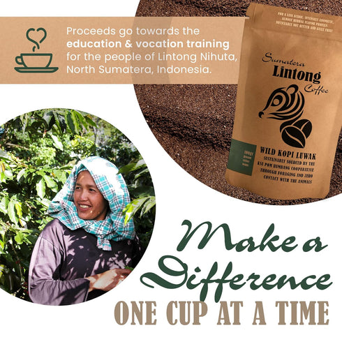 Ground Wild Kopi Luwak 100gr) , the Worlds Most Exclusive Coffee, Sustainably Sourced From Sumatra, Indonesia (Ground