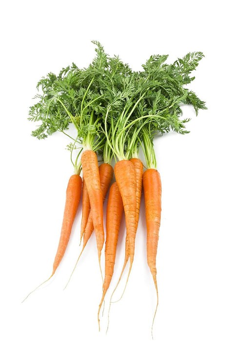 Fresh Nation Farmers Market Locally Grown Carrots, Orange Organic, 1 bunch