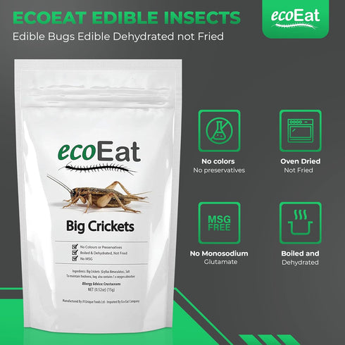 Edible Insects Big Black Crickets - Dehydrated Snack Food Gifts, 15g