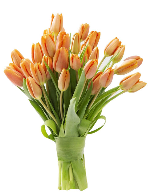 Blooms2Door - 30 Orange Tulips (Farm-Fresh Flowers and Homegrown in the USA)