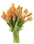 Blooms2Door - 30 Orange Tulips (Farm-Fresh Flowers and Homegrown in the USA)