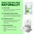 Generic 100% Kalanchoe Pinnata Leaves Tea Bags Pure Dried Leaves, Herbal Tea Bags for Daily Brewing