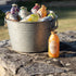 16 Oz (Pack 12) Harney & Sons Organic Orange Mango Juice Drink, Glass Bottles, Fl