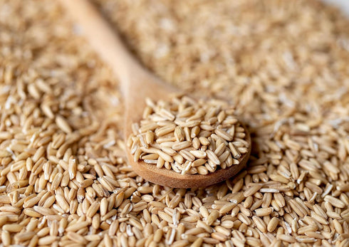 10 Whole Grain Oat Groats, Pounds Oat Berries in Bulk. Kosher Hulless Seeds, Rich in Protein, Soluble Fiber. Suited