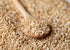 10 Whole Grain Oat Groats, Pounds Oat Berries in Bulk. Kosher Hulless Seeds, Rich in Protein, Soluble Fiber. Suited
