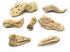Whole Orris Root - 100% Iris Germanica, Essential Oils & Flavonoids for Perfumes - Net Weight: 1.76oz / 50g