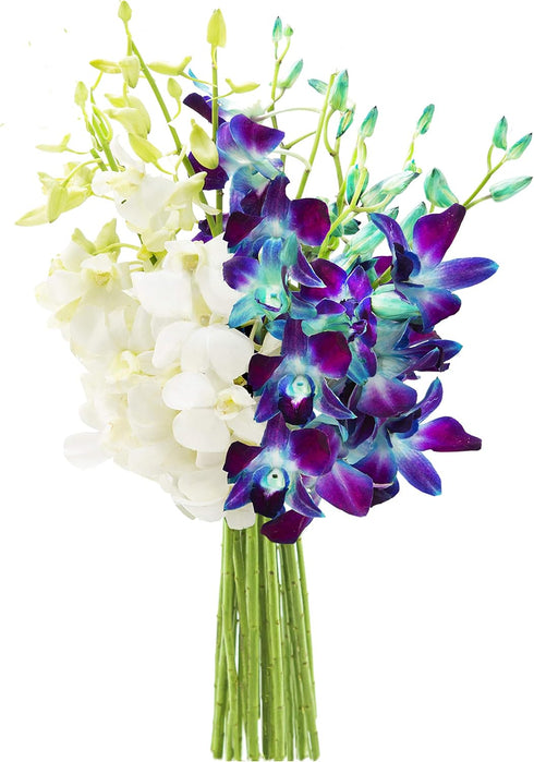 KaBloom - Starry Night in the Tropics Bouquet of Blue and White