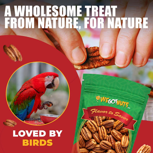 100% Two Pounds Of Pecans Raw, Whole, Shelled, Raw, Natural, No Preservatives Added, Non-GMO, NO PPO, Natural We Got