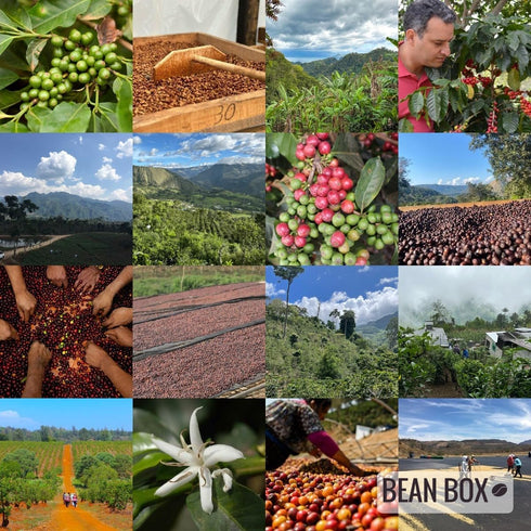 12 Colombia Nario - Roasted by Evans Brothers Coffee - Whole Bean Coffee - Ounce Bag