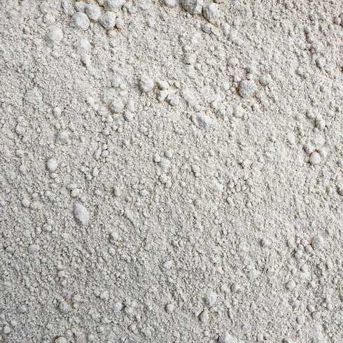 JOJO'S ORGANICS Non-GMO Spelt Flour Bulk Grains 5 lbs Great for Breads Baking Pastries