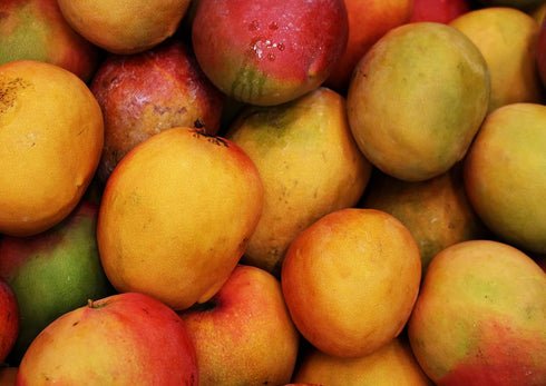 1 Food to Live Organic Mango Powder, Pound - Non-GMO, Made from Raw Dried Fruit, Unsulfured, Vegan, Bulk, Great