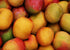 1 Food to Live Organic Mango Powder, Pound - Non-GMO, Made from Raw Dried Fruit, Unsulfured, Vegan, Bulk, Great