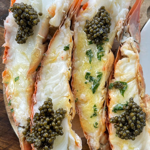 (1 6 8 oz. South African Lobster Tail pc)