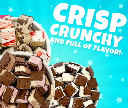 (3 Pack) Freeze Dried Cheesecake Bites & Ice Cream Sandwich Bites - New York Style, Neapolitan, and Vanilla - Crunchy