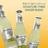 6.8 oz (24 Fever-Tree Light Ginger Beer, fl Bottles) Lower in Calories, No Artificial Sweeteners, Flavorings