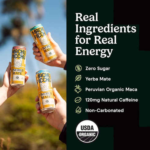 12-Pack 120mg 12oz MACHU PICCHU Variety Zero Sugar Energy Mate Drink Non-Carbonated Yerba Mate, Organic Caffeine