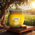 A2 500ML Anveshan Gir Cow Ghee | Grass-Fed | Pasture-Raised | Gut Friendly | Keto Friendly | High Smoke Point |