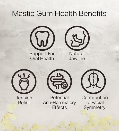 Cerez Pazari Natural Mastic Gum - 0.88 oz (25g) Greek Chios Pure Resin, Sugarless Vegan Gum Made from Mastiha Trees