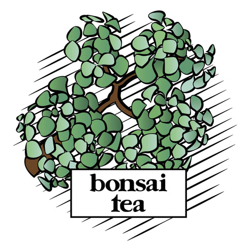 Bonsai Tea Co. 2.0, 100 Count Chai Spice, Compatible with K Cup Brewers Including