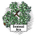 Bonsai Tea Co. 2.0, 100 Count Chai Spice, Compatible with K Cup Brewers Including
