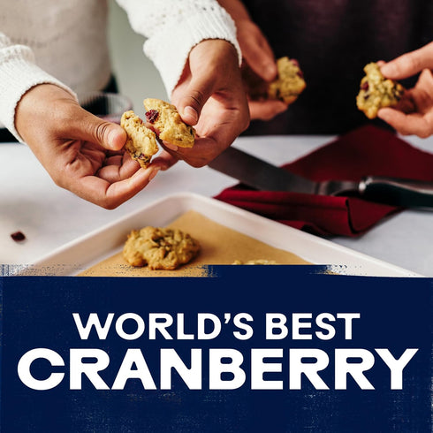 6 Oz Ocean Spray Craisins Original Dried Cranberries, Dried Fruit, Pouch