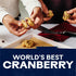 6 Oz Ocean Spray Craisins Original Dried Cranberries, Dried Fruit, Pouch