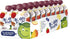Buddy Fruits Snacks To Go Cinnamon Unsweetened Applesauce 3.2oz Pouch (18pk) Gluten-Nut-Dairy-Preservatives-BPA