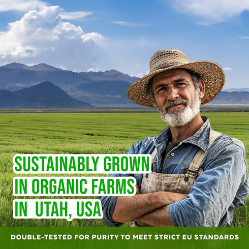 Numami Organic Barley Grass Juice Powder, Grown in USA, Pure Raw and Water Soluble, Add to Your Smoothie or Drink as a