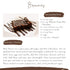 Packaging 16.9 oz Pack 6 Sillycow Farms Hot Cocoa Pumpkin Spice Mix Rich Chocolate Delight Gluten Free Non GMO Dairy